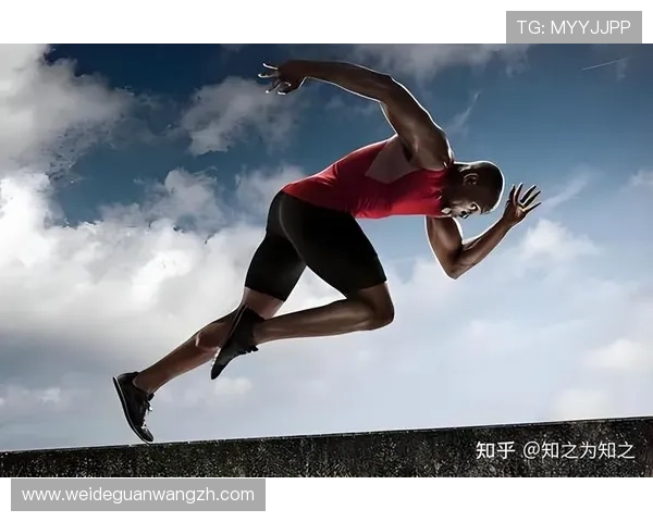 开元体育:如何利用平台资源提升个人运动技能与健康管理水平 开元体育:如何利用平台资源提升个人运动技能与健康管理水平