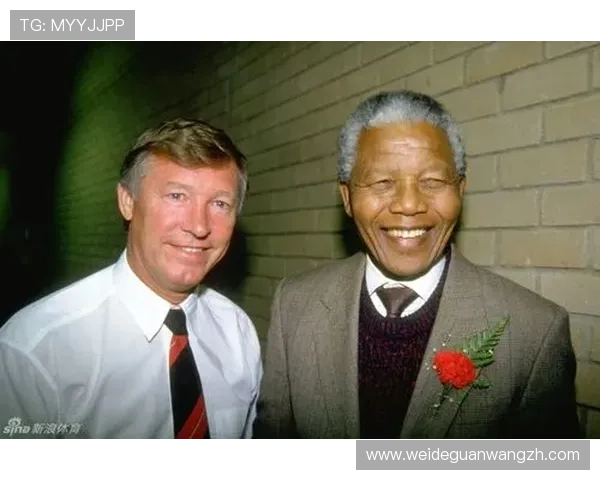 海星体育中文站多语种支持：满足不同地区用户的多样化体育信息需求