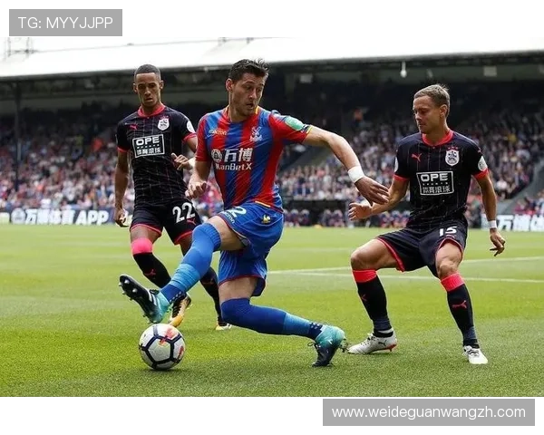 浩瀚体育官方首页帮助用户轻松获取最新体育资讯和赛事直播信息