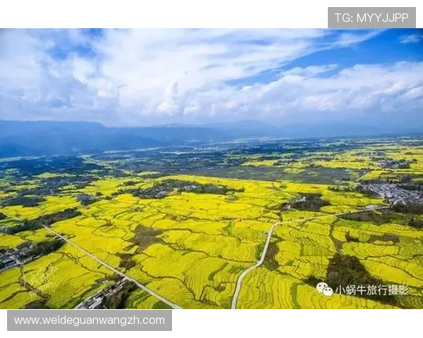 金沙体育平台最新官方入口，全面保障用户安全与资金安全的最佳选择